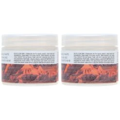 Simple R+CO Badlands Dry Shampoo 2.2 Oz 2 Pack -Personal Care Shop w2000h2000fitcrop 375